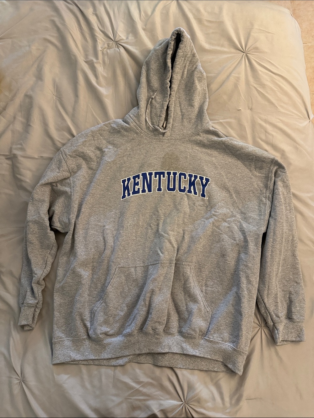 Gildan Grey Hooded Sweatshirt with Blue "Kentucky" Chest Print